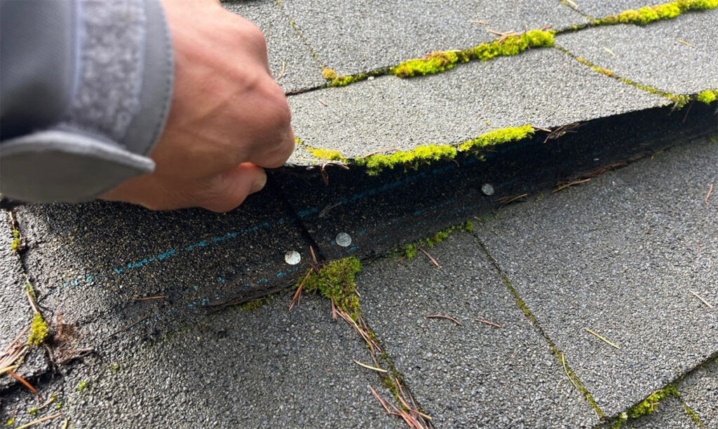 Spring roof maintenance