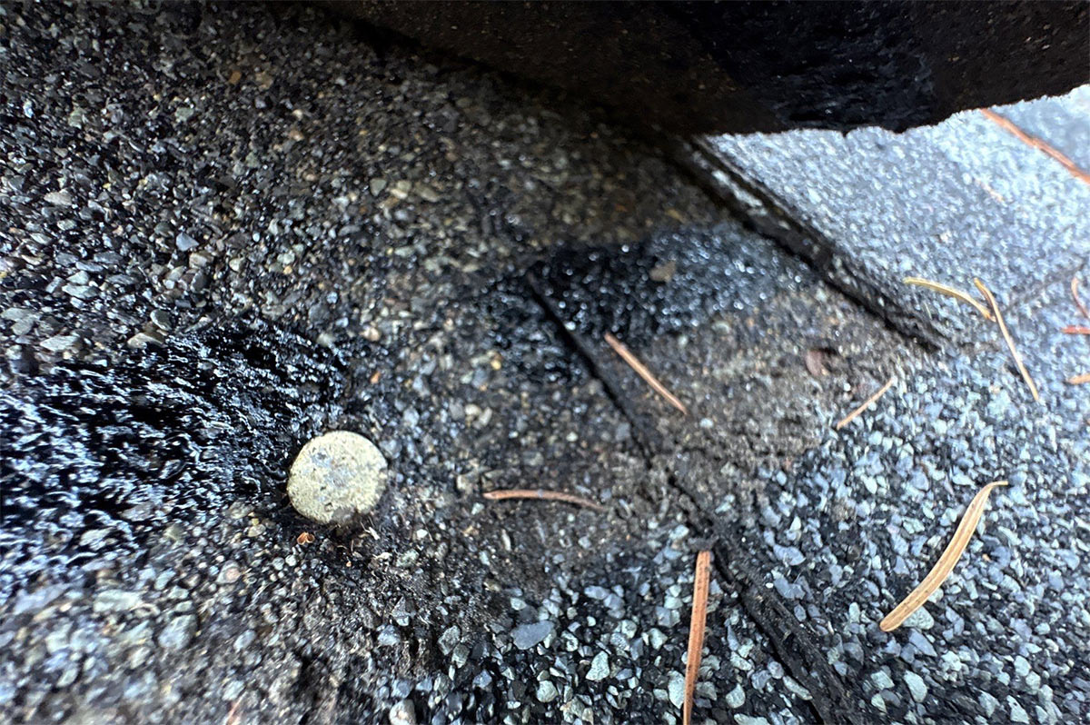 Signs to replace roof before winter