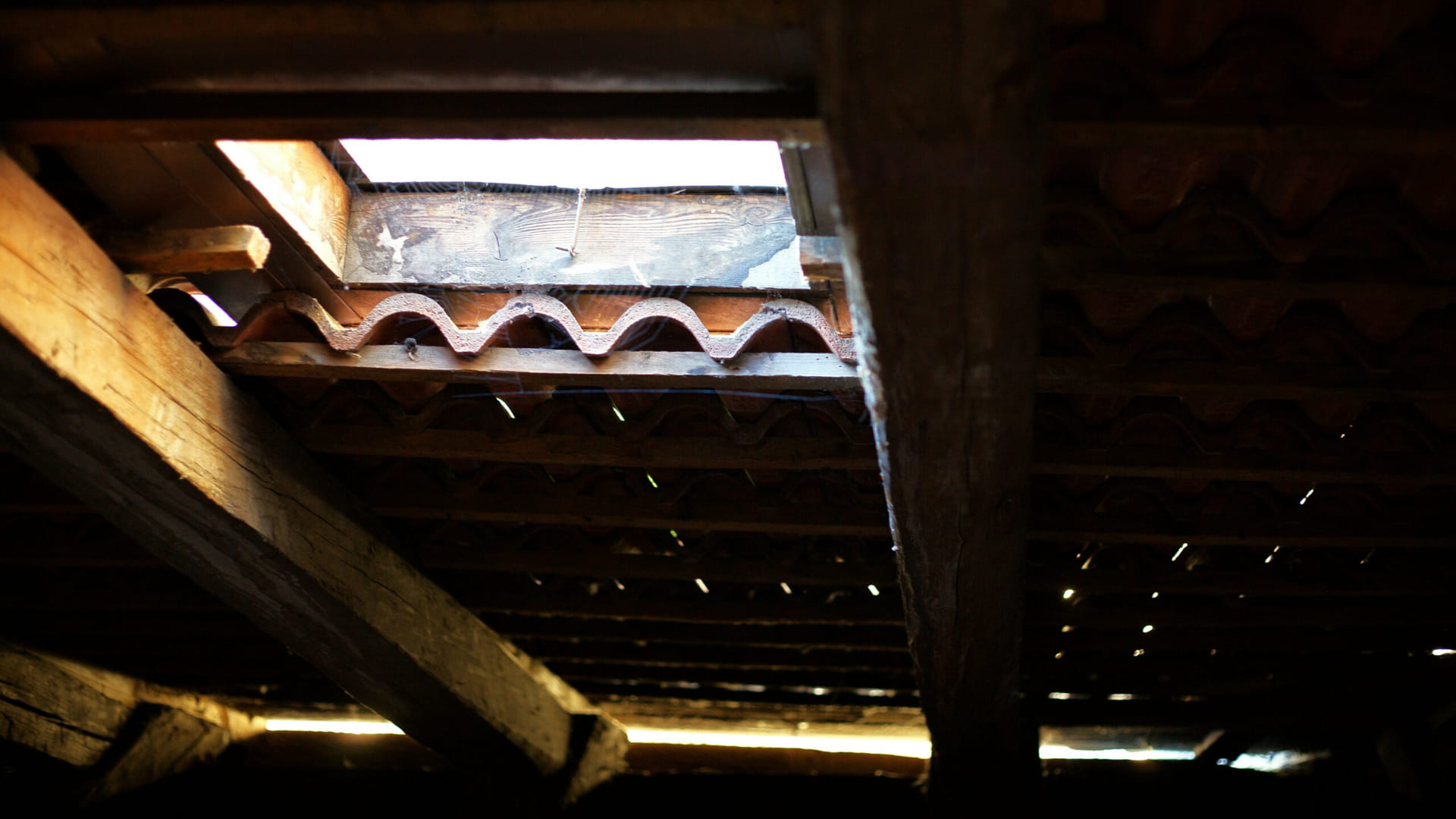 The Silent Roof Killer: Why Proper Attic Ventilation is Crucial for Pacific Northwest Homes