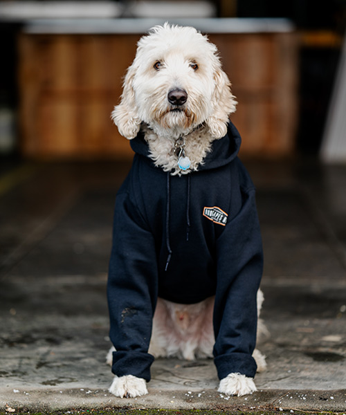 Murphy Baldivino