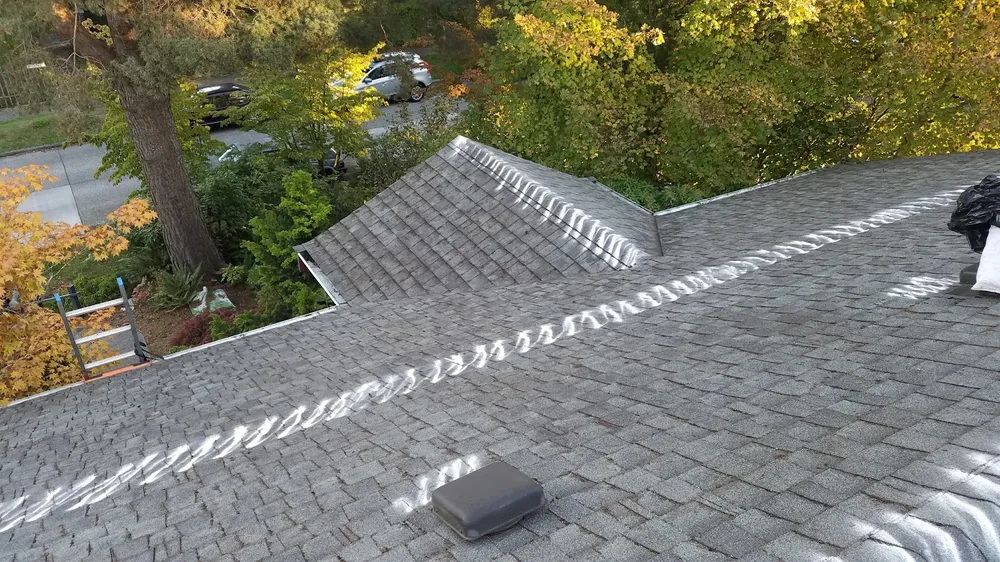 A view of a sloped roof with gray shingles, showing footprints and markings from maintenance work, and trees with autumn leaves in the background.