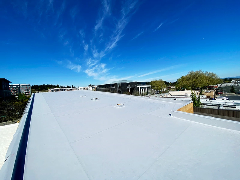 A view of a flat roof under a clear blue sky, with trees and buildings in the background.